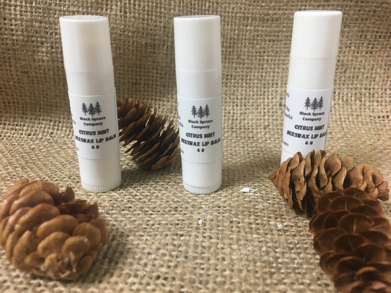 Citrus Mint Beeswax Lip Balm Tube