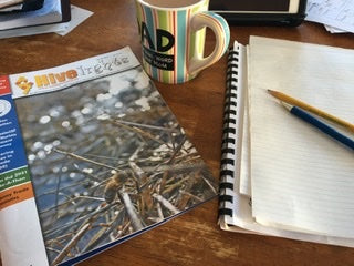 Should you house your bees indoors?