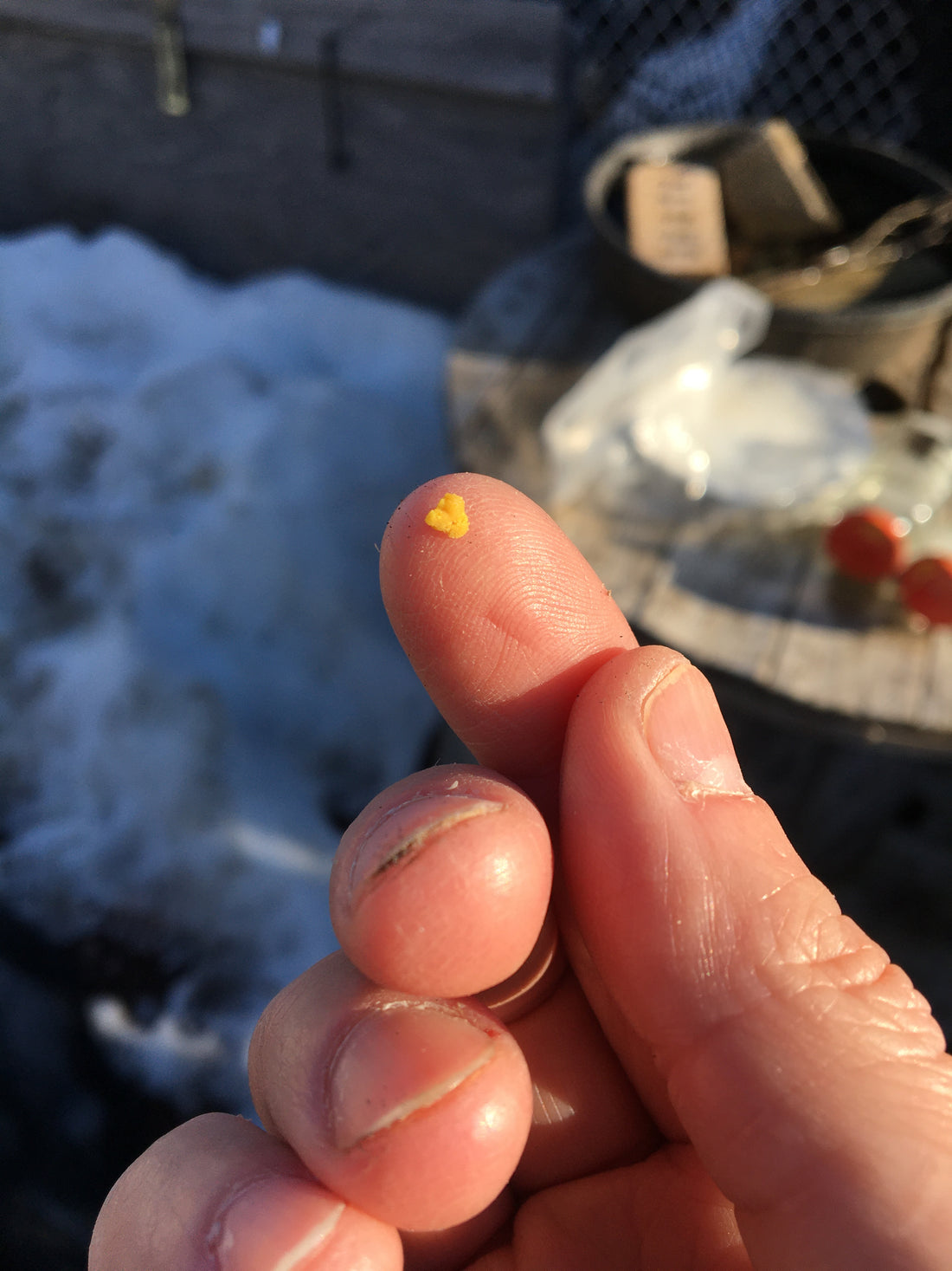 Pollen